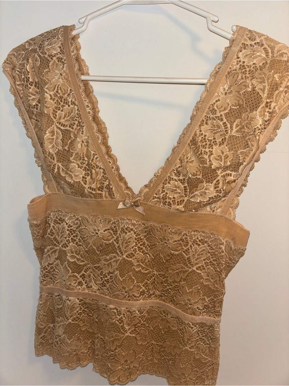 The Limited Lined Lace V-Neck Camisole in Tan